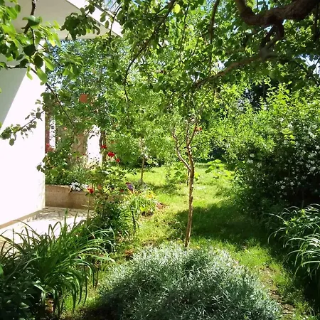 Grgurevic Appartement *