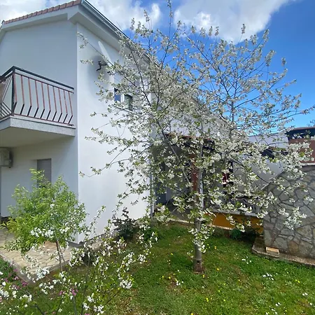 Grgurevic Appartement *