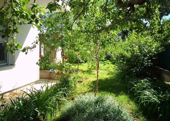 Grgurevic Apartment *